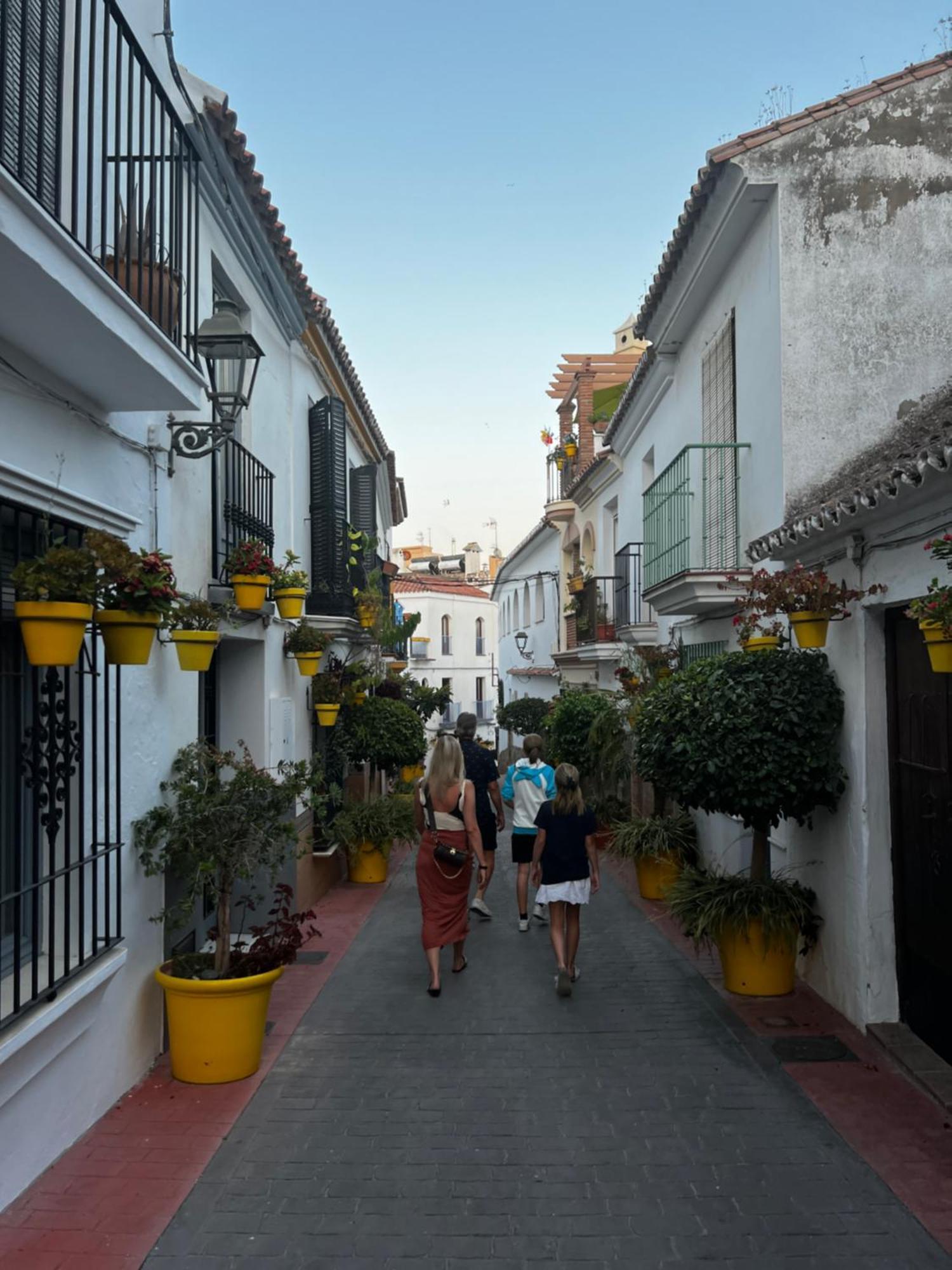 Playa Cristo Amazing Beach Terrace Appartment Estepona Eksteriør billede